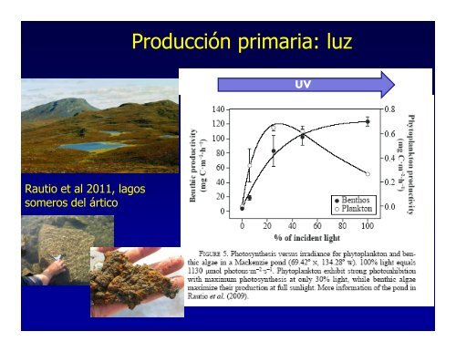 Producción primaria