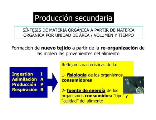 Producción primaria