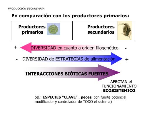 Producción primaria