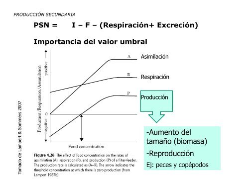 Producción primaria