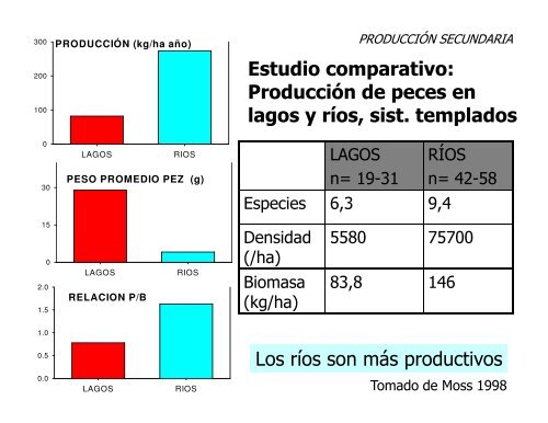 Producción primaria