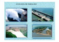 ECOLOGÍA DE EMBALSES