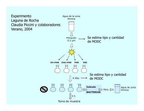 ECOLOGÍA ACUÁTICA MICROBIANA