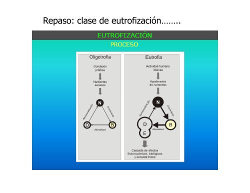 Repaso: clase de eutrofización……..