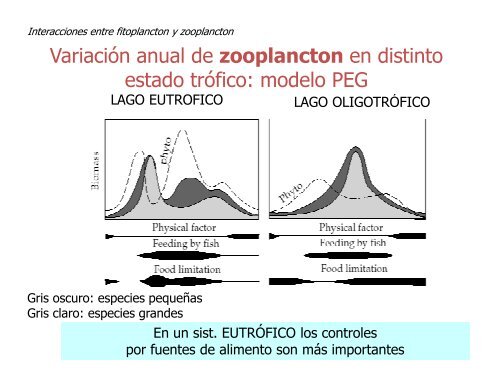 Repaso: clase de eutrofización……..