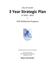 Three-Year Strategic Plan - City of Lincoln & Lancaster County ...