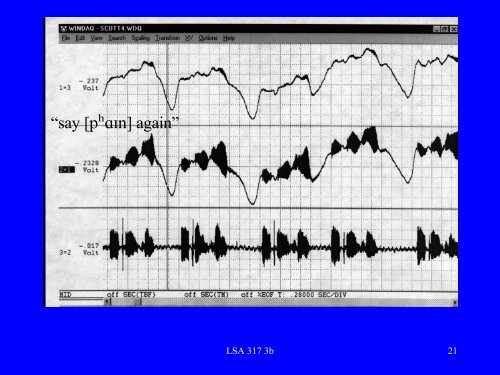 Plethysmograph - Linguistics