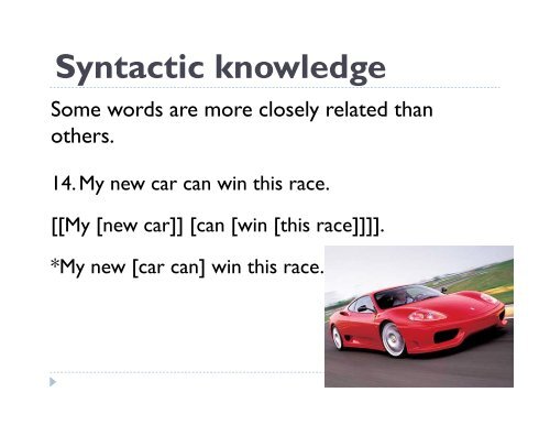 Syntactic knowledge