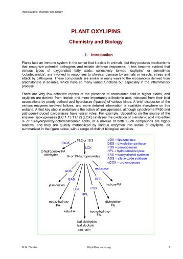 Plant oxylipins: chemistry and biology - Lipid Library