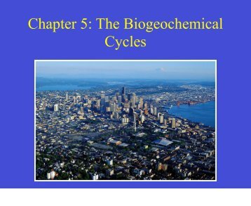 Chapter 5: The Biogeochemical Cycles