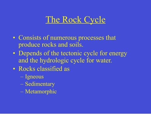 Chapter 5: The Biogeochemical Cycles