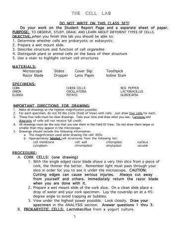 cells lab report Lab 7: solar cells spring 2002 dawn hettelsater, yan zhang and ali shakouri, 05/09/2002 10 references 24 important characteristics of solar cells. cells lab report Lab 7: solar cells spring 2002 dawn hettelsater, yan zhang and ali shakouri, 05/09/2002 10 references 24 important characteristics of solar cells.