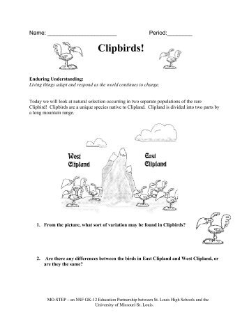 Clipbirds Student WS