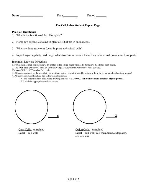 Cell Lab Report