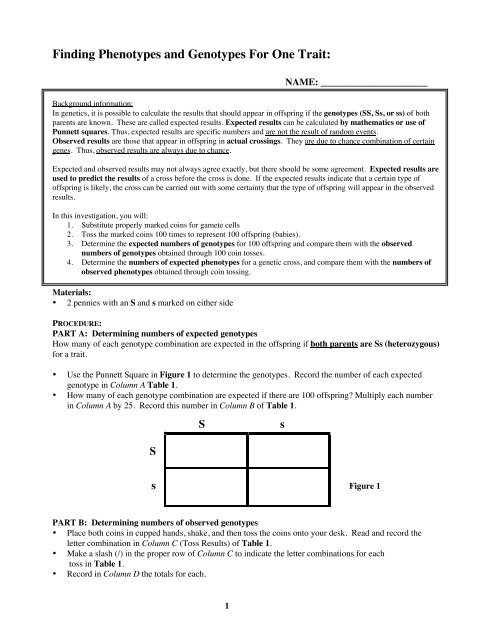 Probability Lab penny