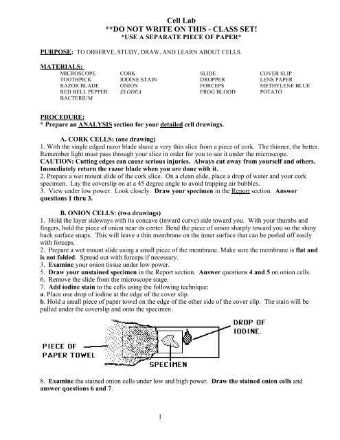 Cell Lab Types Lab