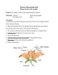 Flower Dissect Lab