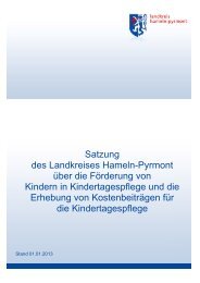 images/File/Landkreis Hameln-Pyrmont/Satzung 01_01_13.pdf