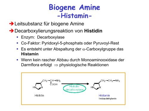Biogene Amine