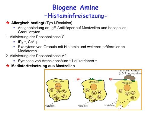 Biogene Amine