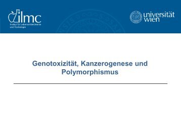 Genotoxizität