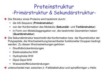 Proteinstruktur