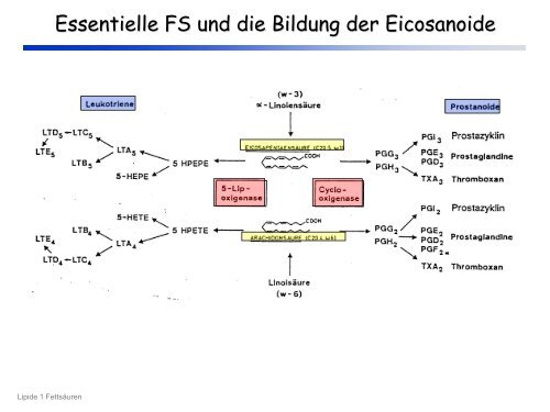 Grundlagen der Lebensmittelchemie