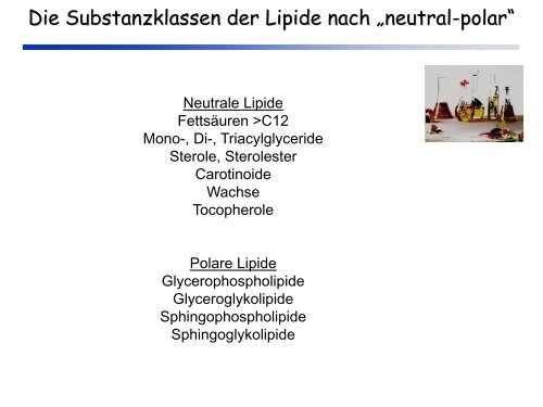 Grundlagen der Lebensmittelchemie