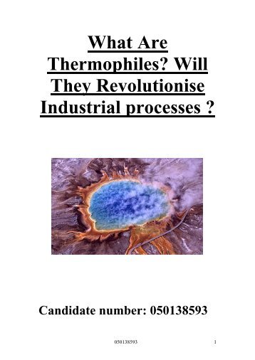 What Are Thermophiles? Will They Revolutionise Industrial processes