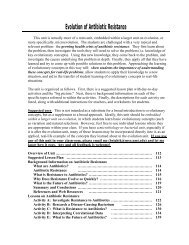 Evolution of Antibiotic Resistance-Printable Format - Teach ...