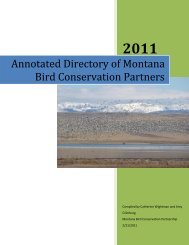 Annotated Directory of Bird Conservation Partners - Avian Science ...