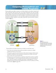 179-181 - LoreeScience.ca