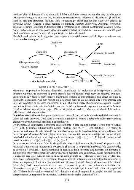 Raport de cercetare - Lorentz JÄNTSCHI