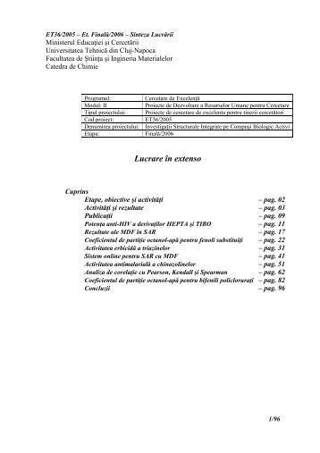 Year 2006 Report - Lorentz JÄNTSCHI