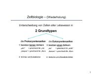 Zellbiologie – (Wiederholung)