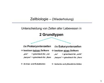 Zellbiologie – (Wiederholung)