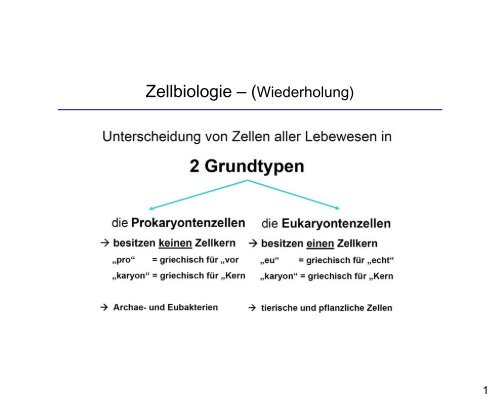 Zellbiologie – (Wiederholung)