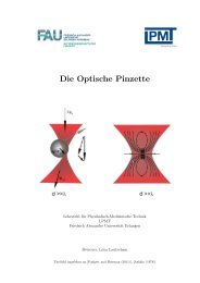 Die Optische Pinzette