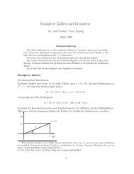 Komplexe Zahlen und Geometrie - LSGM