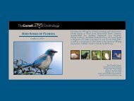 Bird Songs of Florida - Macaulay Library