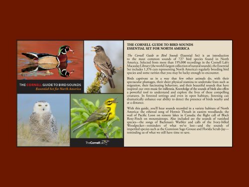 THE CORNELL GUIDE TO BIRD SOUNDS ... - Macaulay Library