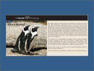 Booklet (pdf) - Macaulay Library