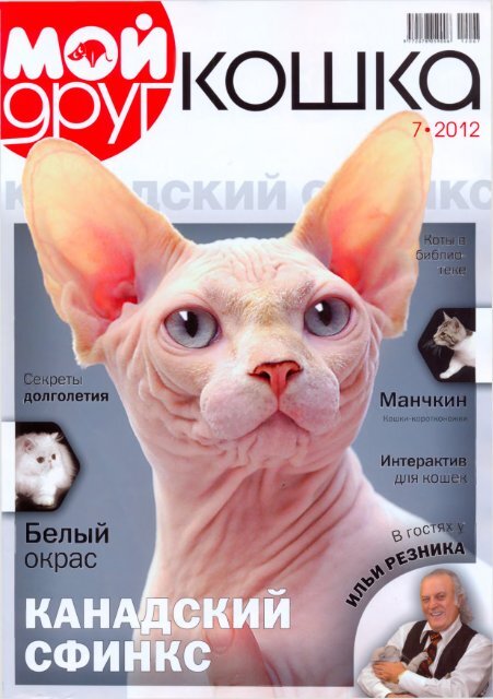Одним из популярных истинно русских имен для кошек является 