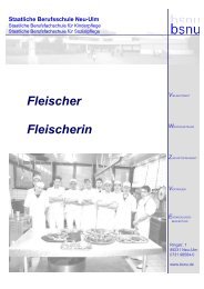 Flyer Fleischer.pdf - Staatliche Berufsschule Neu-Ulm