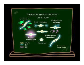 HI Stripping and Galaxy Evolution in the Virgo Cluster