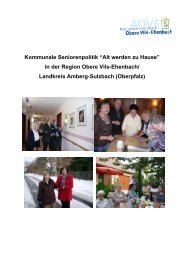 Konzept: Kommunale Seniorenpolitik in der Region Obere Vils - Aove