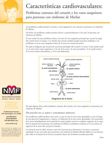 Características cardiovasculares: