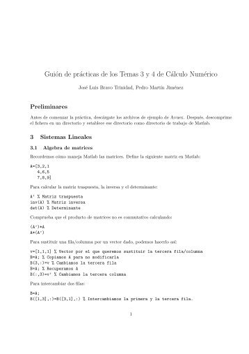 Guión de prácticas de los Temas 3 y 4 de Cálculo Numérico