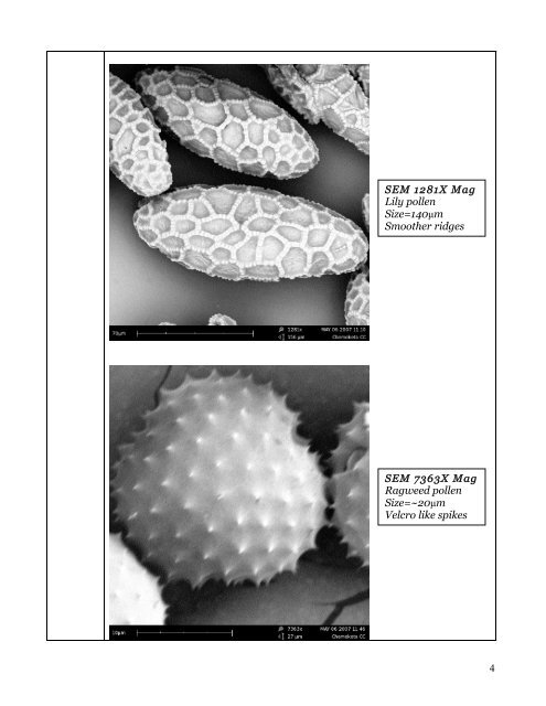 Pollen Lab - Materials Science Institute