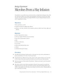 Biology Experiment: Microbes From a Hay Infusion - Bodelin